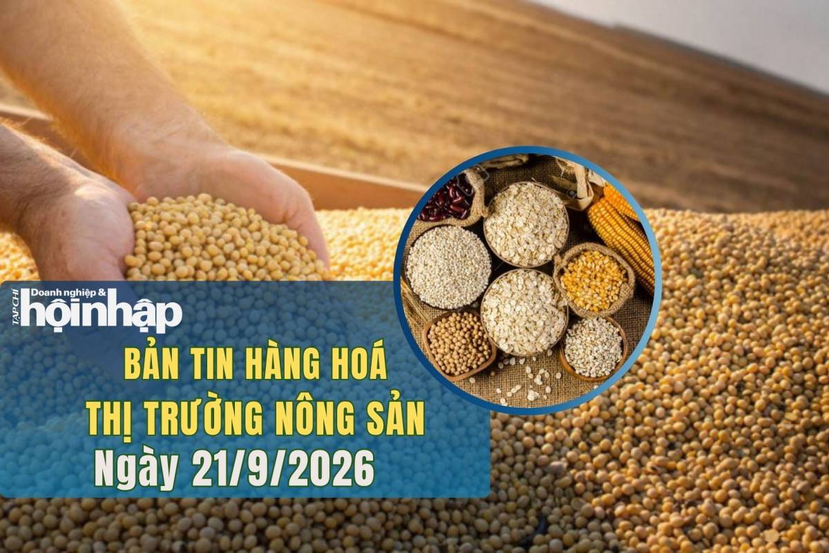 Thị trường nhóm nông sản 21/9/2026: Giá lúa mì giảm, ngô và đậu tương duy trì đà tăng Thị trường nhóm nông sản 21/9/2026: Giá lúa mì giảm, ngô và đậu tương duy trì đà tăng